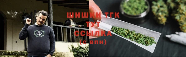 гашик Медногорск
